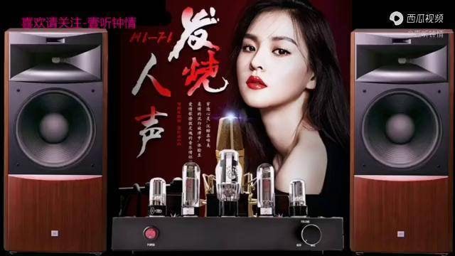 名称：磁性hifi发烧人声 200首描述：汇集最具声色感染力的顶级发烧人声，精选华语乐坛最炙手可热的流行热曲，以发烧界一流团队的真空灵制技艺，致力打造国内发烧人声的至尊品牌；绝佳的录音技术不容置疑，细腻可触的音乐质感极度逼真，深厚唱功让每首歌曲的魅力丝毫毕现，一辑代表高水准发烧唱片的绝色试音极品！链接：