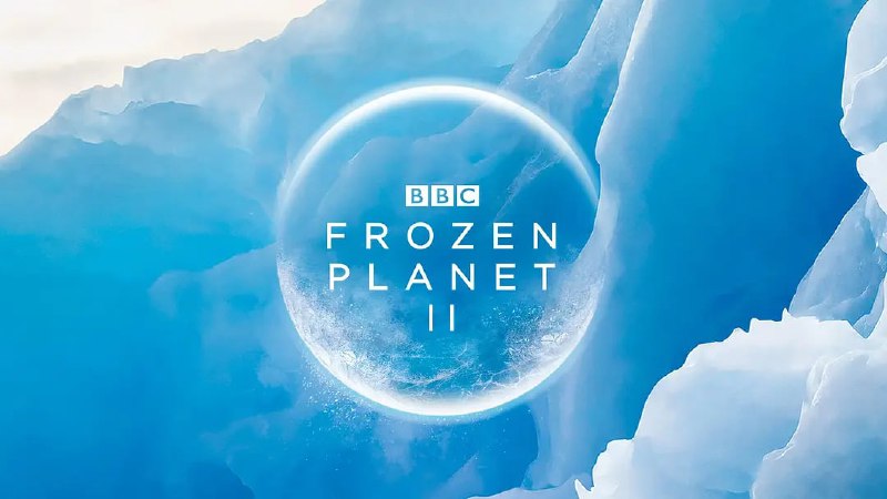 名称：冰冻星球 1~2季 4K 中英字幕 已刮削描述：BBC Earth星球系列年度巨制《冰冻星球II》(Frozen Planet II) 在第一季播出11年后重磅回归