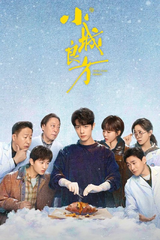 名称：小城良方(2026) 4K 更新至06集描述：该剧讲述了当天才医生刘铮亮(肖战饰)遭遇人生滑铁卢，被迫返回家乡从零开始的故事