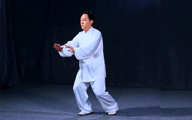 名称：陈氏老架一路七十四式（全）描述：陈氏太极拳老架一路，以柔为主，柔中有刚