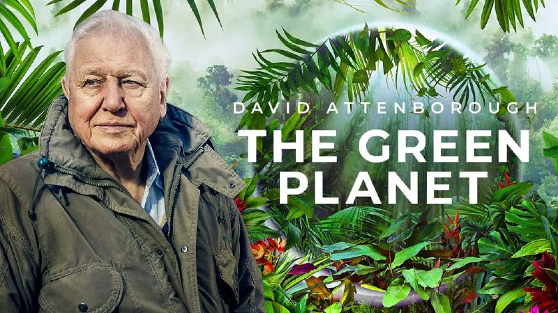 名称：绿色星球 The Green Planet (2022) 4K 国语+英语 配音描述：节目是首个通过沉浸式的呈现方式聚焦植物的纪录片，为观众们展示了这个低调秘密、不为人知的植物世界