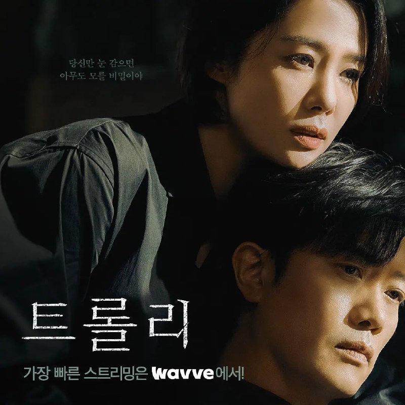 名称：Trolley 命运交叉点 트롤리 (2022) 16集完结描述：因为一场突如其来的悲剧，国会议员的妻子被迫走出原本低调的生活，还要面对家族秘密和自己的痛苦过往