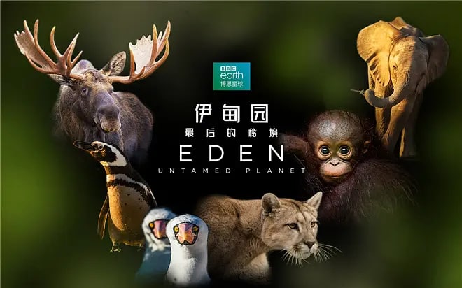 名称：伊甸园：最后的秘境 (2021) 4K 国英双语/中英双字 豆瓣 9.2描述：遍寻天涯海角，前往地球上仅存的几处未经开垦的土地，探索它们的秘密，与蓬勃生机