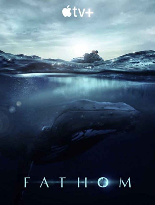 名称：探寻鲸之音 4K(2160P)描述：Fathom影片年代：2021影片产地：美国对白语言：英语影片字幕：中字内嵌字幕电影简介：两位科学家专注于座头鲸歌曲和社交交流的研究