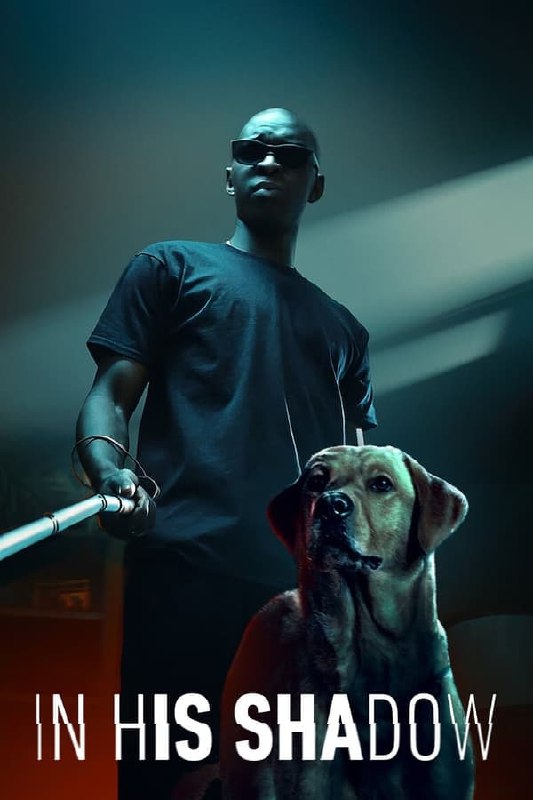 名称：暗影王者 Le Roi des Ombres (2023) 法国 剧情描述：父亲去世后，同父异母的兄弟俩在一场不断升级的冲突中站到了对立面，悲剧随之而来