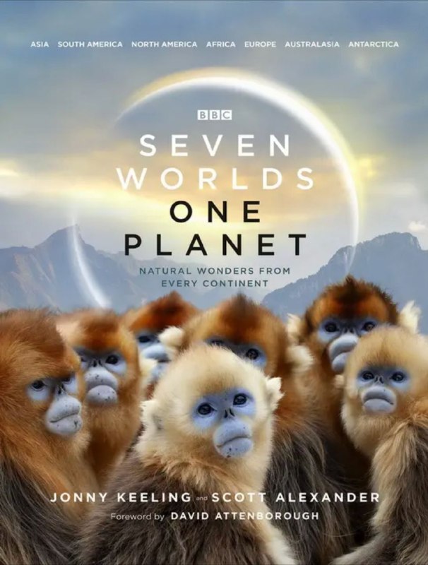 名称：七个世界一个星球 4K(2160P)描述：Seven Worlds,One Planet影片年代：2019影片产地：英国 BBC影片集数：7集对白语音：英语影片字幕：中英外挂字幕电影简介：从郁郁葱葱的南美洲丛林深处到冰雪覆盖的亚洲山峦之巅，从欧洲熙熙攘攘的都市到非洲的广袤平原，《七个世界 一个星球》将开启一次七大洲之旅，呈现匪夷所思的动物行为，讲述鲜为人知的动物故事