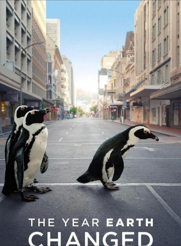 名称：地球改变之年 4K(2160P)描述：The Year Earth Changed影片年代：2021影片产地：美国对白语言：英语影片字幕：中字外挂字幕电影简介：展示世界各地历经史无前例的一年之后所拍摄的独家影片，这部贴近时事的纪录片，不但以全新手法描绘全球大封锁的局面，也带大家看见许多由此而生的正向故事