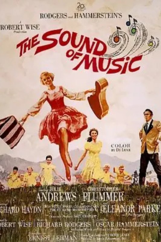 名称：音乐之声 The Sound of Music描述：玛利亚（朱丽·安德鲁斯 饰）是一个年轻活泼的修女，喜欢在大自然下高声歌唱，所以她常常忘记了修道院里的规矩