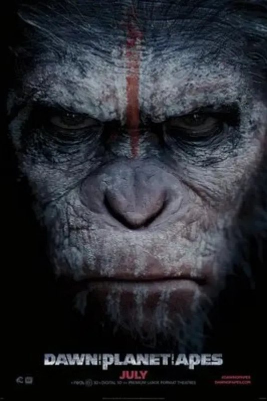 名称：猩球崛起2：黎明之战 Dawn of the Planet of the Apes描述：十年前，人类为自己的愚蠢付出惨痛代价，凶险致命的猿流感病毒蔓延全球，世界毁灭殆尽