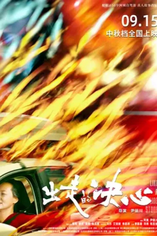 名称：出走的决心描述：影片根据50岁阿姨自驾游真人故事改编