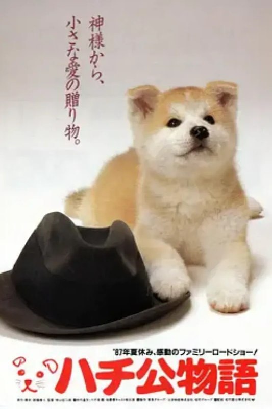 名称：忠犬八公物语 ハチ公物語描述：1923年，日本秋田县大馆市天降大雪，近藤家纯种秋田犬产仔，赠与县土木科长间濑