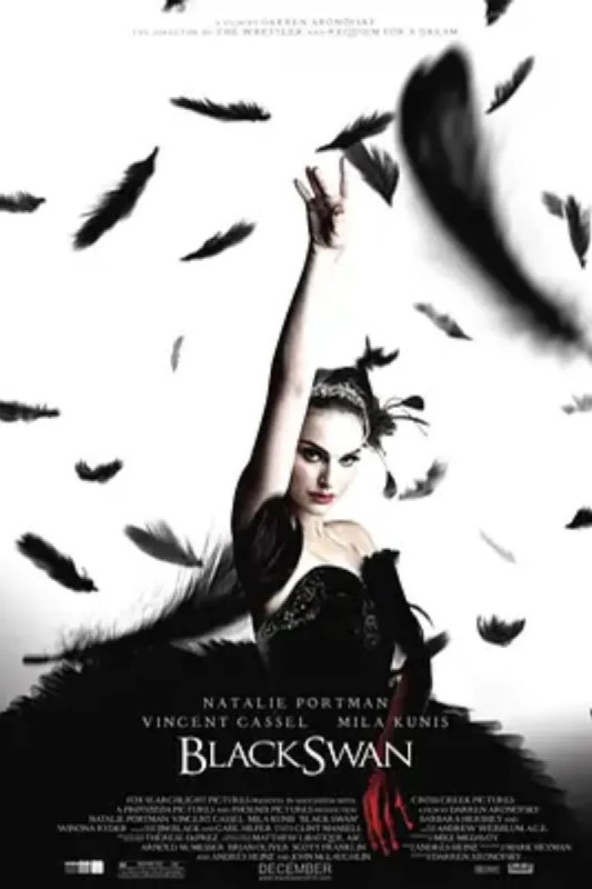 名称：黑天鹅 Black Swan描述：纽约剧团要重排《天鹅湖》，因前领舞Beth（薇诺娜•赖德 Winona Ryder 饰）离去，总监Thomas（文森特•卡索尔 Vincent Cassel. 饰）决定海选新领舞，且要求领舞要分饰黑天鹅与白天鹅