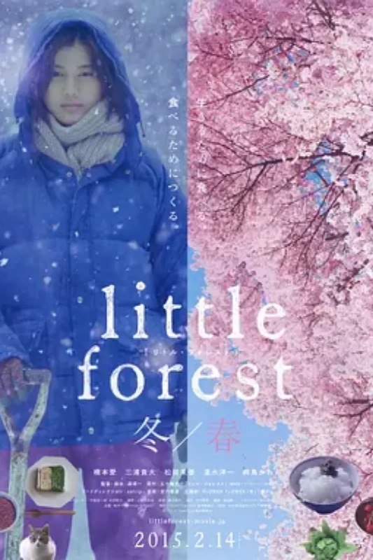 名称：小森林 冬春篇 リトル・フォレスト 冬・春描述：于无法融入喧嚣吵闹的大城市，平凡女孩市子（桥本爱 饰）选择回到自幼生长的老家——位于日本东北地区的小森村