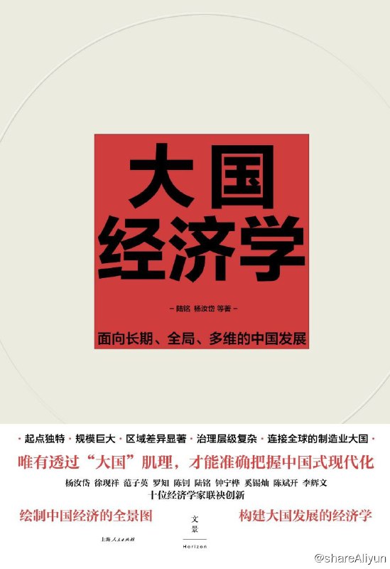 名称：大国经济学：面向长期、全局、多维的中国发展描述：本书构建了一套能解释中国社会发展与转型的政治经济学认识框架，并通过这样一部“大国经济学”，讲好中国发展的故事，阐明当前发展阶段所面临的挑战与改革任务