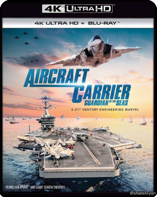 名称：航空母舰：七海卫士 4K原盘REMUX [HDR] [内封简英双字]描述：航空母舰：七海卫士的剧情简介 · · · · · ·  世界水域的安全与航行自由日益受到严峻挑战，海军航空兵是制胜的关键