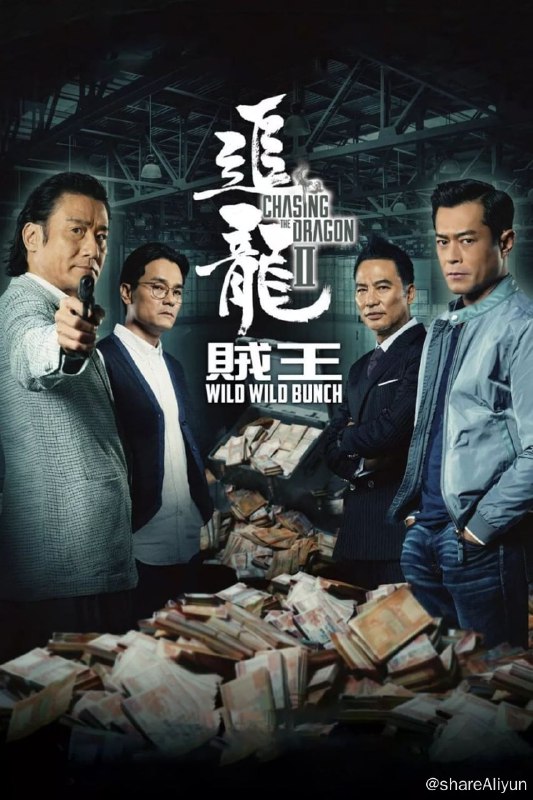名称：追龙II (2019) 原盘REMUX [内封简繁中字]描述：悍匪龙志强，在香港回归前，趁香港英政府不作为，而屡犯巨案，先后绑架富豪利家及雷家之长子，勒索超过二十亿元，事主怕被报复, 交赎款后都不敢报警
