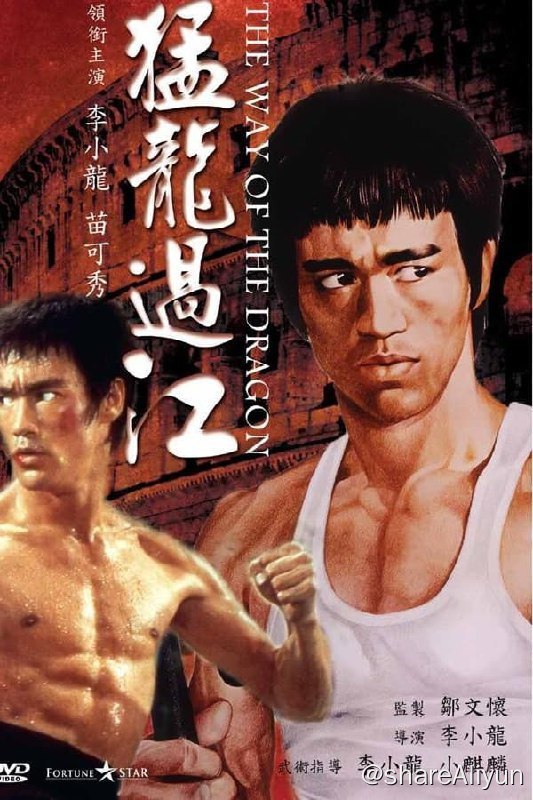 名称：猛龙过江(1972)REMUX 4K描述：新年前夕，香港青年唐龙（李小龙 饰）受远在罗马经营餐厅的陈清华（苗可秀 饰）之叔父所托，远赴罗马助陈清华一臂之力