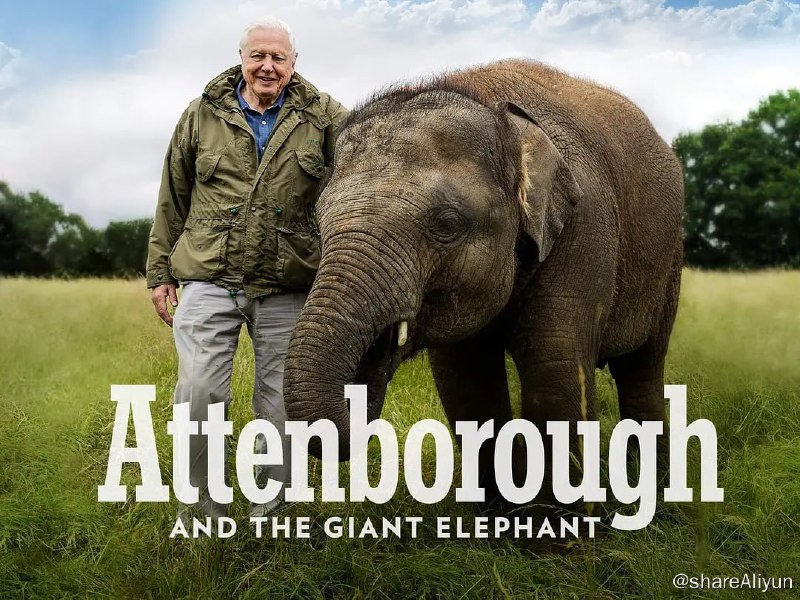 名称：爱登堡和巨象 (2017) 1080描述：凭借在美国自然历史博物馆 （American Museum of Natural History） 获得 Jumbo 骨架的独特访问权限，该团队共同努力将神话与现实区分开来