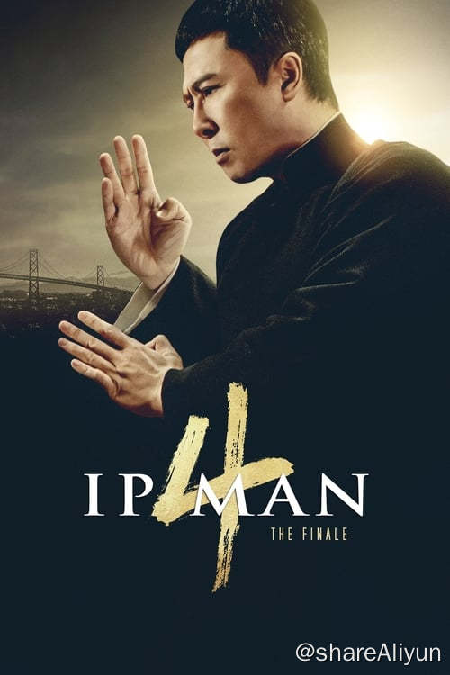 名称：叶问4 (2019)描述：因故来到美国唐人街的叶问，意外卷入一场当地军方势力与华人武馆的纠纷，面对日益猖狂的民族歧视与压迫，叶问挺身而出，在美国海军陆战队军营拼死一战，以正宗咏春，向世界证明了中国功夫