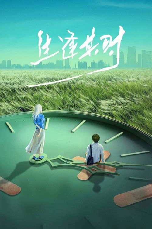 名称：生逢其时 (2026) 4K HDR Vivid 高码率 [内封中字] [更新08集]描述：八十年代初，青梧小镇住着家庭模式完全不同的齐家和曹家