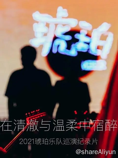 名称：琥珀，在清澈与温柔中宿醉 (2021)描述：在琥珀携新专辑《时间边界》巡演南京站，四位乐手和Switch On逐一拆解介绍了各自的设备和使用习惯，对喜欢后摇、乐器和琥珀乐队的同学，这次记录是一次不可多得的深入了解机会