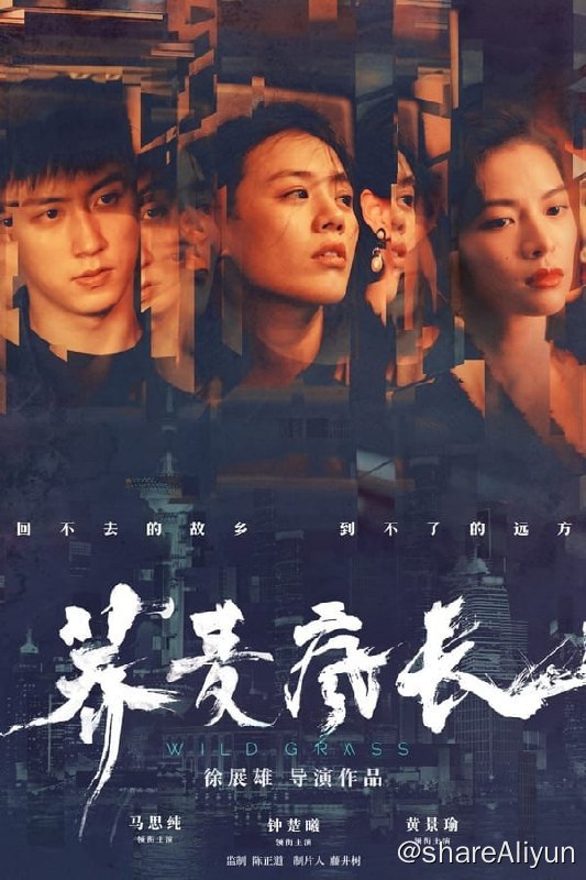 名称：荞麦疯长(2020) 4K高码描述：影片讲述了初入社会的两个女孩和一个男孩在追求新生活的过程中所经历的不可思议的命运考验