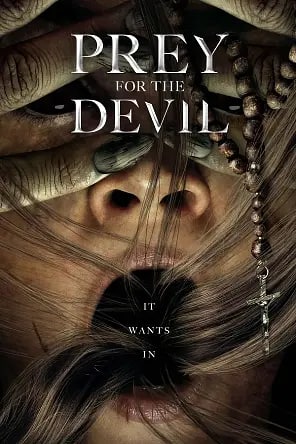 名称：恶魔的光火(2022)描述：加入教会不久的年轻修女安，深信替人驱魔是她天生的使命，然而天主教会却有个令她不满的不成文传统：只有神父可以进行驱魔仪式