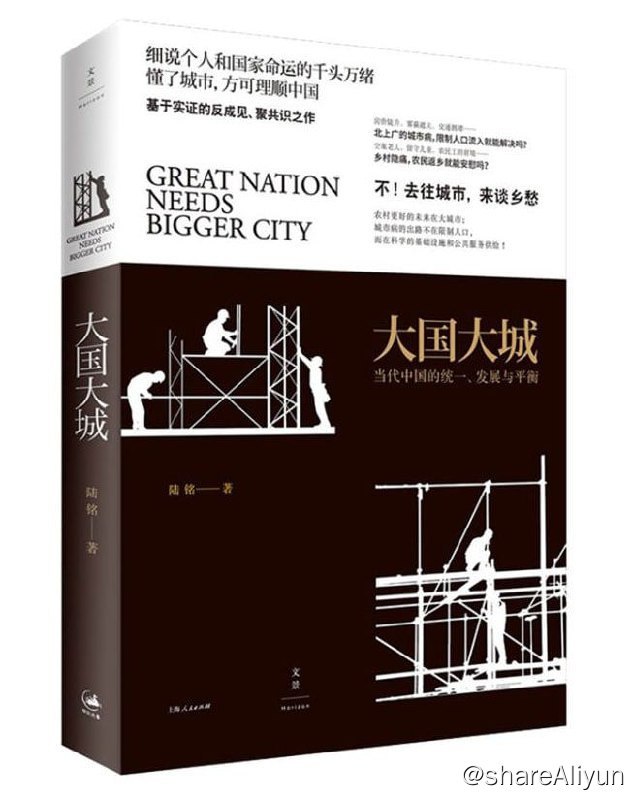 名称：大国大城：当代中国的统一、发展与平衡描述：经济学家陆铭教授的《大国大城》关注的是中国当前城乡经济发展中切实存在的现实问题；只有在聚集中经济发展才能走向均衡，只有以追求人均GDP的均衡取代追求区域GDP的均衡，才能充分发挥出大国的国家竞争力，并提升全体人民的公共利益