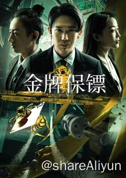 名称：《金牌保镖 》—-毛骗原班人马描述：网剧鼻祖《毛骗》团队拍摄金牌保镖的剧情简介:　　双腿残疾的童松是矛盾安保公司的创始人，团队中还有两人，分别是擅长机械的安宁和心思单纯、身手了得的大牛