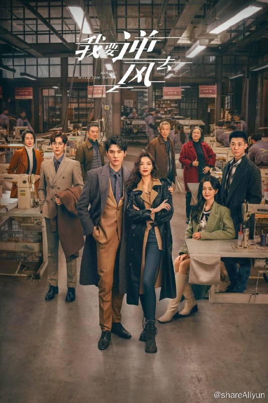 名称：我要逆风去(2023) S01E01-E08 4K描述：自香港投行跳槽回内地投资公司发展的投资人徐斯，结识了国牌服装集团董事长独生女江湖，二人因商业理念不同而互不对盘