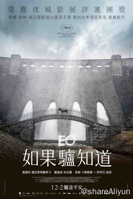 名称：驴叫 (2022)✨【1080p.SDR】【原轨.高码率】5.5G描述：世界是神秘的，尤其是在动物的眼中