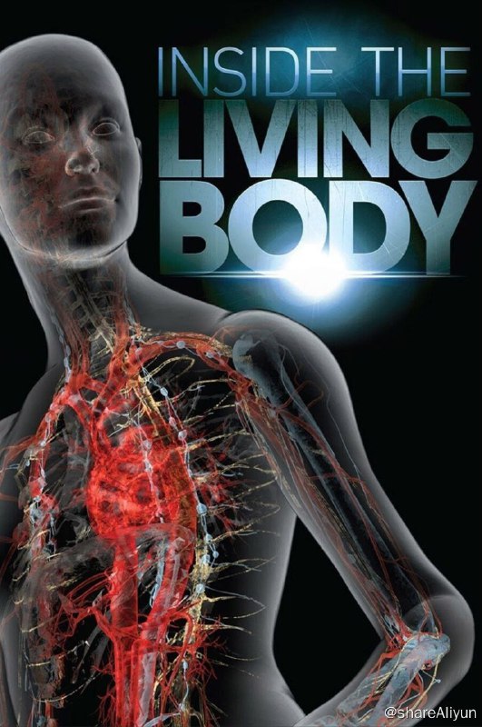 名称：人体内旅行 (2007) 720P 中字外挂字幕描述：从我们的第一声啼哭到最后一次呼吸，我们的身体正经历着不断的微妙变化