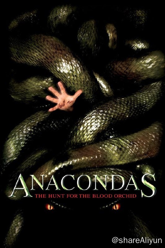 名称：狂蟒之灾2：搜寻血兰(2004) 1080P REMUX 外挂中字描述：位于婆罗洲的原始丛林中，比尔·约翰逊带领着他的探险小队穿行于其中，寻找着一种名为“血兰”的珍稀植物