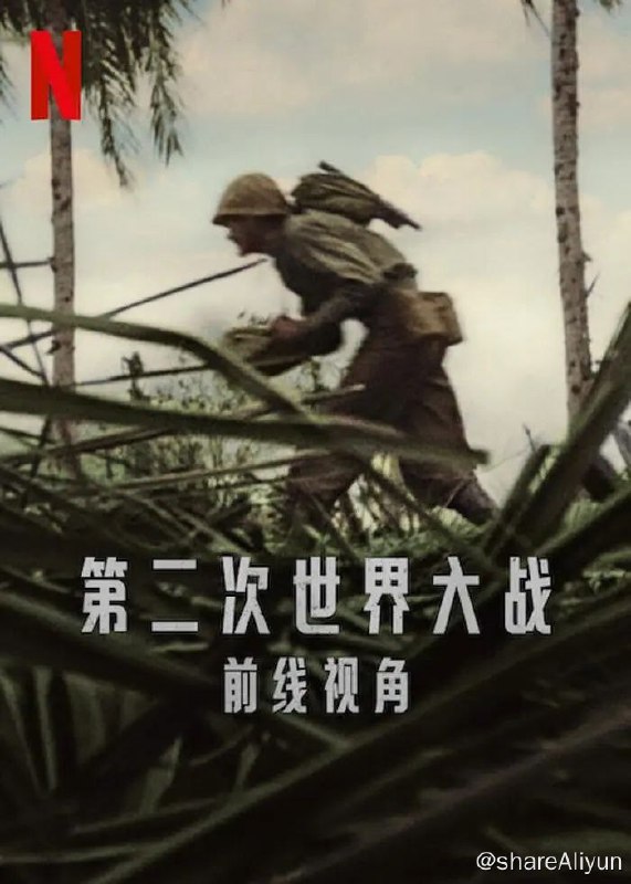 名称：【纪录片】《第二次世界大战.前线视角》全6集描述：这部系列纪录片通过重新上色的档案画面和冲突各方的声音，以前所未有的方式再现二战情景链接：