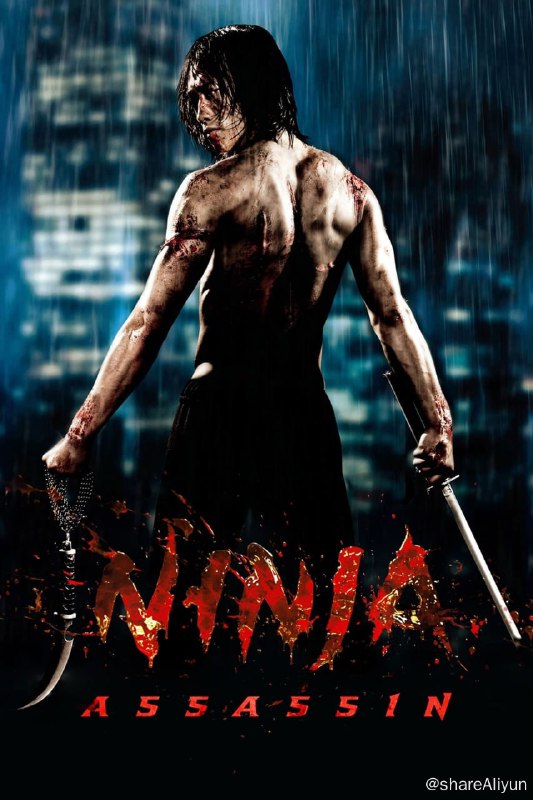名称：忍者刺客 (2009)[高码]描述：数千年来，来自东方的忍者刺客只是被当作一个传说，然而柏林的法院调查员米卡（娜奥米·哈里斯 Naomie Harris 饰）在调查一系列政治暗杀案时却把目标锁定在这个传说中古老而又成熟暗杀组织