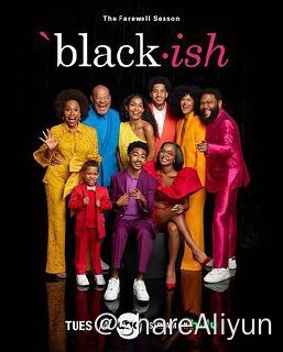 名称：X-喜新不厌旧 八季描述：这部单镜头情景喜剧松散地改编自编剧Kenya Barris的个人生活经历