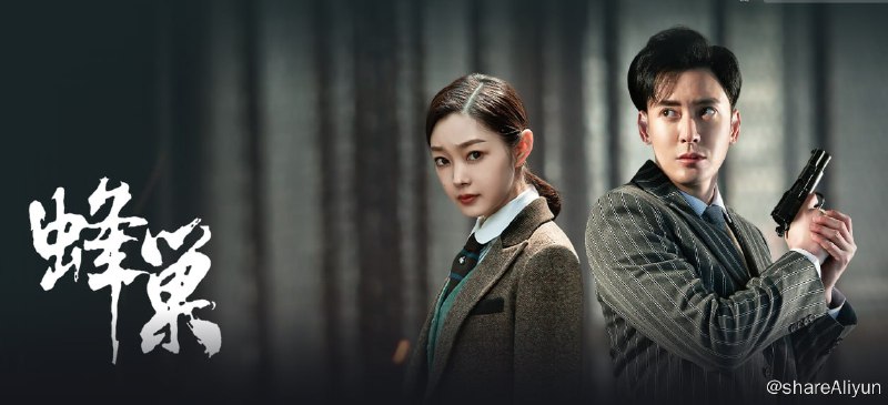 名称：蜂巢 4KHDR60FPS 宋轶新剧 影视剧飙升版爆火上no