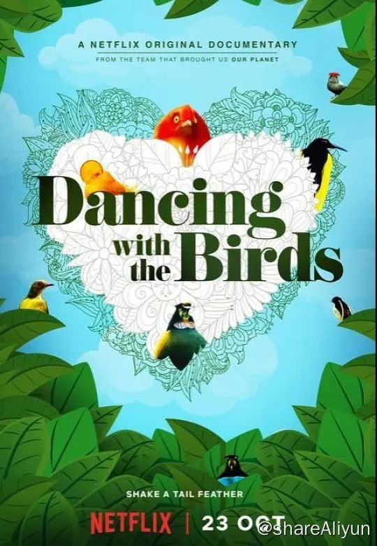 名称：《与鸟共舞》4K描述：和《与雀共舞》一起深入热带雨林，近距离接触罕见的极乐鸟，看他们以惊人的方式寻找配偶