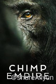 名称：黑猩猩帝国 (2023) 纪录片 外挂简中 1080p描述：《 黑猩猩帝国 》庞大的黑猩猩群落在乌干达的森林中繁衍生息，应对复杂的社会关系、家族变迁以及危险的领地争端