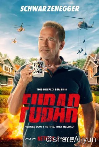 名称：面目全非 FUBAR描述：一名即将退休的中情局探员发现了一个家族秘密，并被迫重返一线，去完成最后一项任务