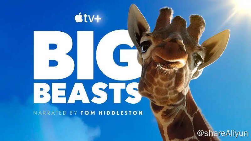 名称：巨兽 Big Beasts (2023) 2160p HDR 内封多国语 [纪录片]描述：从冰冻极地到热带雨林，认识自然界最迷人的巨兽，它们证明了庞大体型也会带来巨大挑战