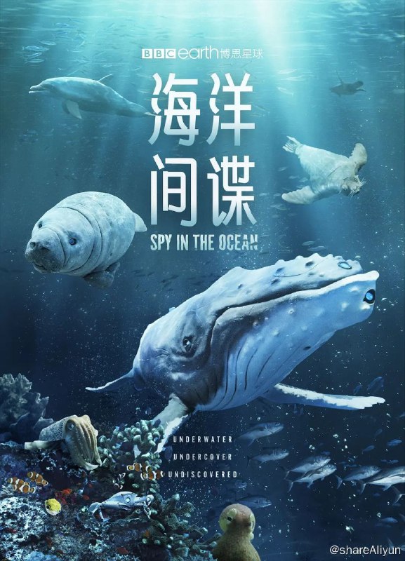 名称：海洋间谍描述：“间谍生物”又来了！ 　　这一次，间谍相机带着当今最尖端的拍摄技术，前往海洋深处，迎接它们迄今为止最激动人心的挑战，探索地球上最神奇且最具活力的环境之一，海洋
