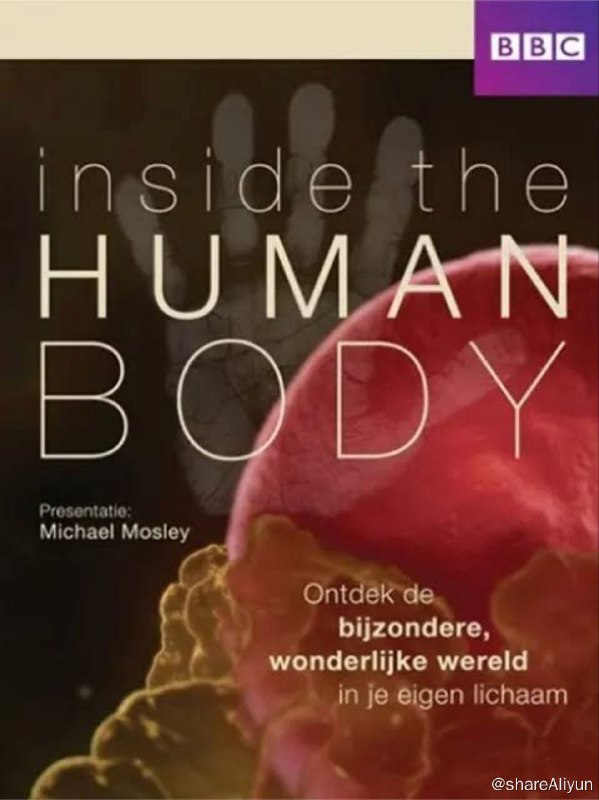 名称：BBC-人体奥秘 S1(2011) 1080P 国英双音轨，默认国语 中字内嵌字幕描述：我们有史以来第一次以如此清晰的方式，目睹胚胎在一个月大到十星期大这个过程中的面部形成过程——直到这个过程结束，胚胎的体积也还只有一颗菜豆那么大