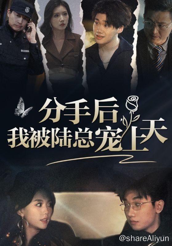 名称：分手后，我被陆总宠上天 - 2024.S01.720p描述：普通女孩沈知涵在男友凌凯母亲的生日宴上被羞辱，之前被她相救的陆明山伪装成保安大叔，替她撑腰