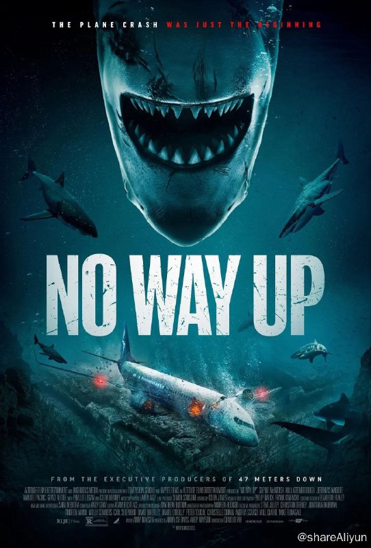 名称：《深渊鲨难》描述：一群有着不同背景阶级的乘客们所乘坐的飞机坠毁在太平洋之中，整个机身半淹没在汪洋里，机舱内的空气供应即将耗尽，然而更恐怖的是海洋里的危险也从四面八方悄然袭来