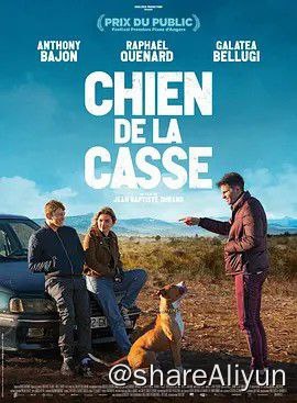 名称：流浪狗描述：多格和米拉莱斯是两个儿时好友，住在法国南部的一个小村庄里