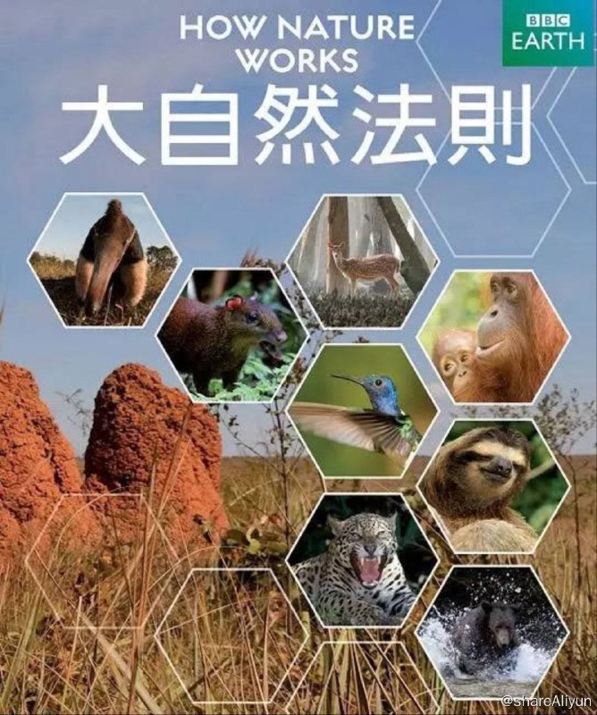 名称：自然的运作 (2013) 1080P描述：是什么给雨林带来独一无二的勃勃生机？是什么造就草原动物的矫健身形？是什么帮助森林生物安然度过气候剧变？又是什么让营养极易流失的水世界异彩纷呈？在我们熟知的环境中，大自然所敲打出的清晰节奏，一切看似平常的自然现象，背后又有怎样的玄机？链接：