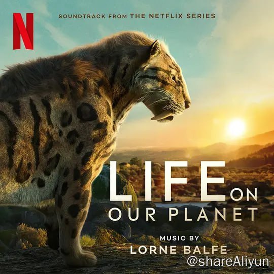 名称：我们星球上的生命 Life on Our Planet (2023) 纪录片描述：这是关于生命在地球上如何奋力征服和生存的史诗故事