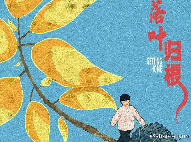 名称：落叶归根描述：由张杨执导，王要编剧，赵本山、宋丹丹、洪启文、胡军、郭德纲、夏雨、郭涛、廖凡、午马联袂出演的喜剧电影