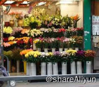 名称：【开花店资料】配送,储存,花语.理论.制度描述：花店链接：